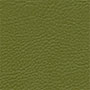 Parotega-Olivgrün Parotega-Olivgrün