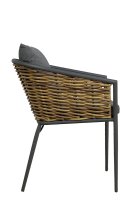 Rato Natur Rato Natur