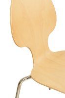 Vorschau: Beizton: Buche natur Vorschau: Beizton: Buche natur