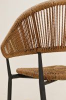 Vorschau: Jacora wheat Vorschau: Jacora wheat