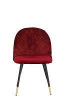 Lizo-100 Ruby Lizo-100 Ruby