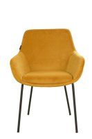 Vorschau: Revogo Gold | Bezug: OTE-RUSH-262 Vorschau: Revogo Gold | Bezug: OTE-RUSH-262