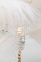 Vorschau: Tischleuchte Feather Palm Weiß 60cm Vorschau: Tischleuchte Feather Palm Weiß 60cm