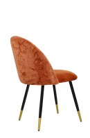 Vorschau: Lizo-100 Rusty Vorschau: Lizo-100 Rusty