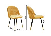 Vorschau: Lizo-100 Sunny Vorschau: Lizo-100 Sunny