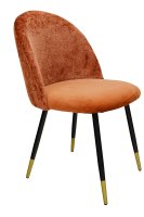 Vorschau: Lizo-100 Rusty Vorschau: Lizo-100 Rusty