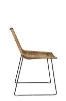 Juduna-wheat Juduna-wheat