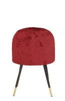 Vorschau: Lizo-100 Ruby Vorschau: Lizo-100 Ruby