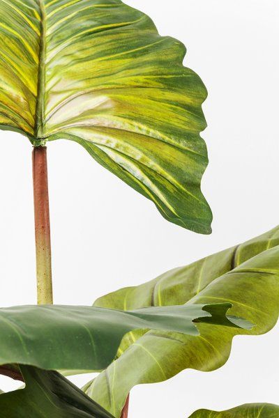 Deko Pflanze Rainforest Green 160cm