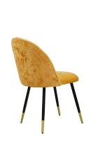 Vorschau: Lizo-100 Sunny Vorschau: Lizo-100 Sunny