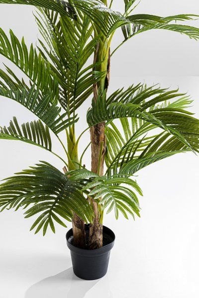 Deko Pflanze Palm Tree 190cm