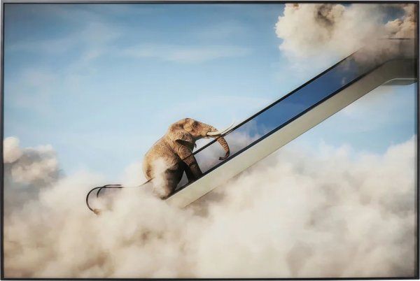 Gerahmtes Bild Elephant In The Sky 150x100cm