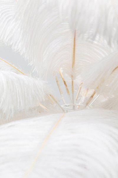 Tischleuchte Feather Palm Weiß 60cm