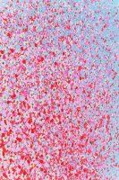 Bild Touched Flower Boat Blau Pink Bild Touched Flower Boat Blau Pink