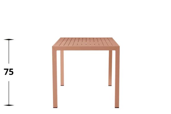 Metalltisch Cordone Carot 80