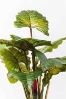 Vorschau: Deko Pflanze Rainforest Green 160cm Vorschau: Deko Pflanze Rainforest Green 160cm