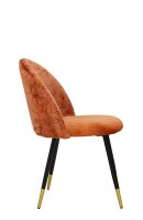 Lizo-100 Rusty Lizo-100 Rusty