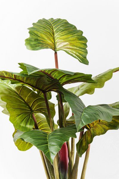 Deko Pflanze Rainforest Green 160cm