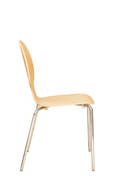 Beizton: Buche natur