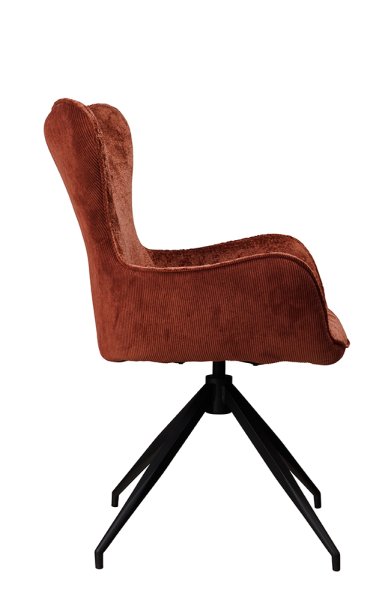 FANO-Arm Bergen-303 Sore-303