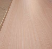 Tischplatte HPL 40mm | Buche | 160x70cm - Sonderposten Tischplatte HPL 40mm | Buche | 160x70cm - Sonderposten