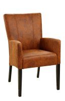 Jinidis-Arm-300 Jinidis-Arm-300