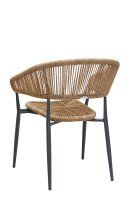 Vorschau: Jacora wheat Vorschau: Jacora wheat