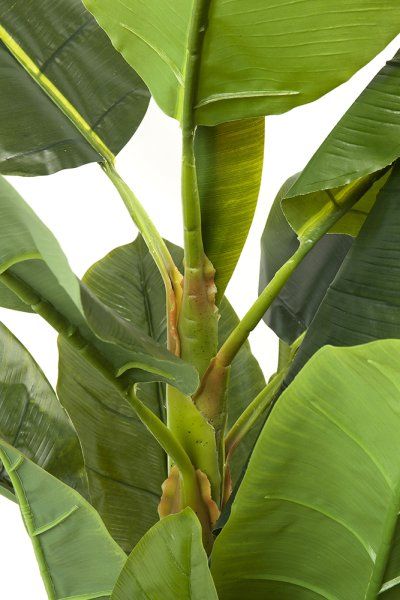 Deko Pflanze Banana Tree 180cm