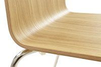 Vorschau: Confira-Eiche Vorschau: Confira-Eiche