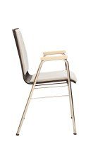 Vorschau: Konferenzstuhl Eruno-220-A50 mit Sitz- und Rückenpolster, Holzlehne, Armlehnen und verchromtem Gestell Seitenansicht Vorschau: Konferenzstuhl Eruno-220-A50 mit Sitz- und Rückenpolster, Holzlehne, Armlehnen und verchromtem Gestell Seitenansicht