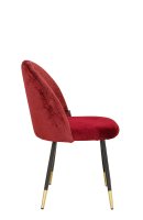 Vorschau: Lizo-100 Ruby Vorschau: Lizo-100 Ruby