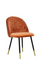 Lizo-100 Rusty Lizo-100 Rusty