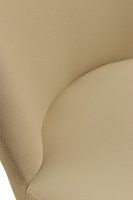 Vorschau: Beizton: Wenge | Bezug: Elastan Arizona Toffe Vorschau: Beizton: Wenge | Bezug: Elastan Arizona Toffe