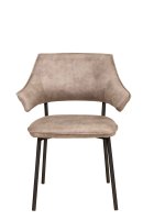 Vorschau: Bull-Toreador-803 Vorschau: Bull-Toreador-803