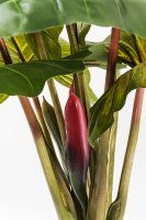 Vorschau: Deko Pflanze Rainforest Green 160cm Vorschau: Deko Pflanze Rainforest Green 160cm